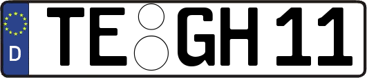 TE-GH11