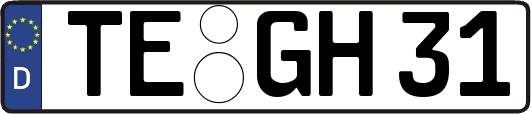 TE-GH31