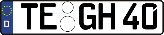 TE-GH40