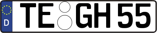 TE-GH55