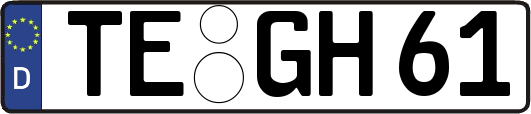 TE-GH61