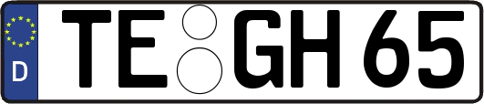 TE-GH65