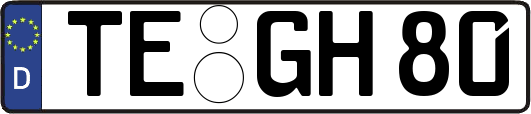 TE-GH80