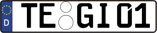TE-GI01
