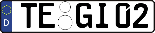TE-GI02