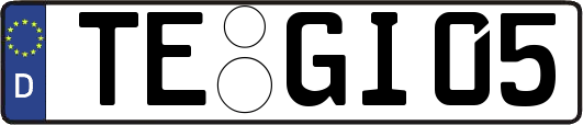 TE-GI05