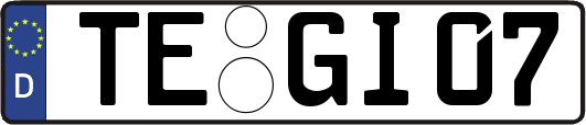 TE-GI07