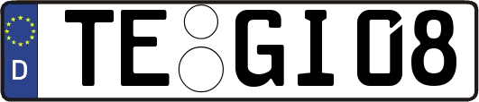 TE-GI08