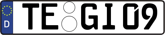 TE-GI09