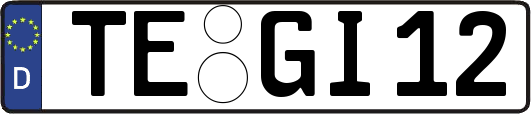TE-GI12