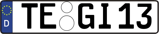 TE-GI13