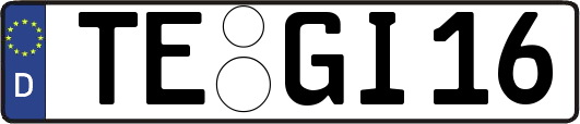 TE-GI16