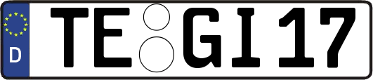 TE-GI17