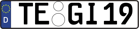 TE-GI19