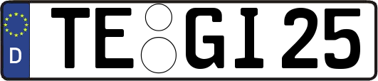 TE-GI25
