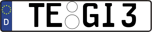 TE-GI3