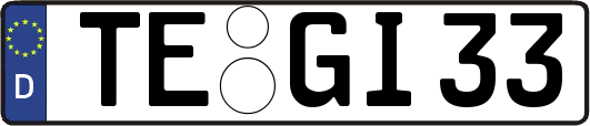 TE-GI33