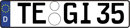 TE-GI35