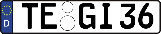 TE-GI36