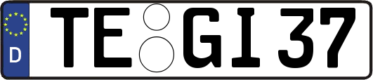 TE-GI37