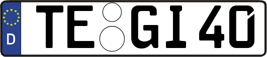 TE-GI40