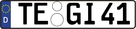 TE-GI41