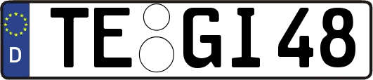 TE-GI48