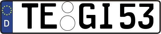 TE-GI53