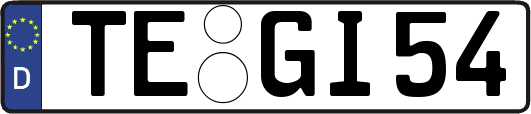 TE-GI54