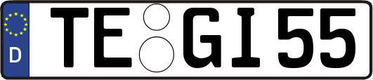 TE-GI55