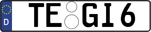 TE-GI6
