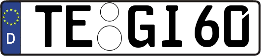 TE-GI60