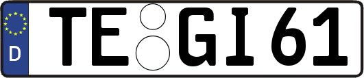 TE-GI61