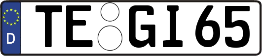 TE-GI65