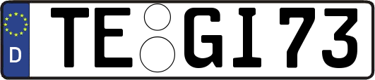 TE-GI73