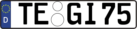 TE-GI75