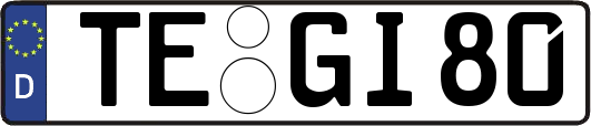 TE-GI80