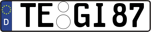 TE-GI87