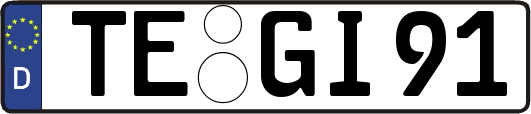 TE-GI91