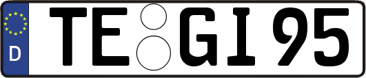 TE-GI95