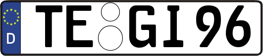 TE-GI96