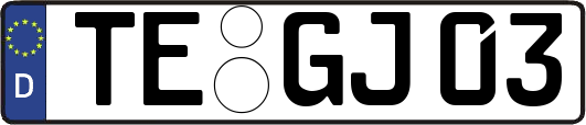 TE-GJ03