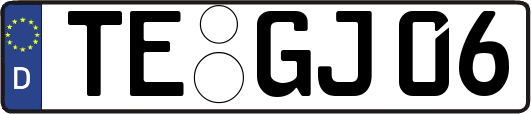 TE-GJ06
