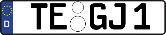 TE-GJ1