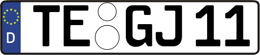 TE-GJ11