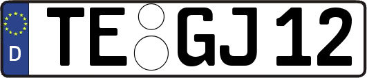 TE-GJ12