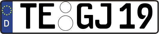 TE-GJ19