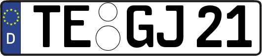 TE-GJ21