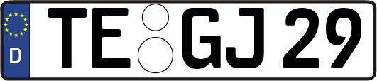 TE-GJ29