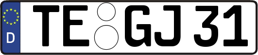 TE-GJ31